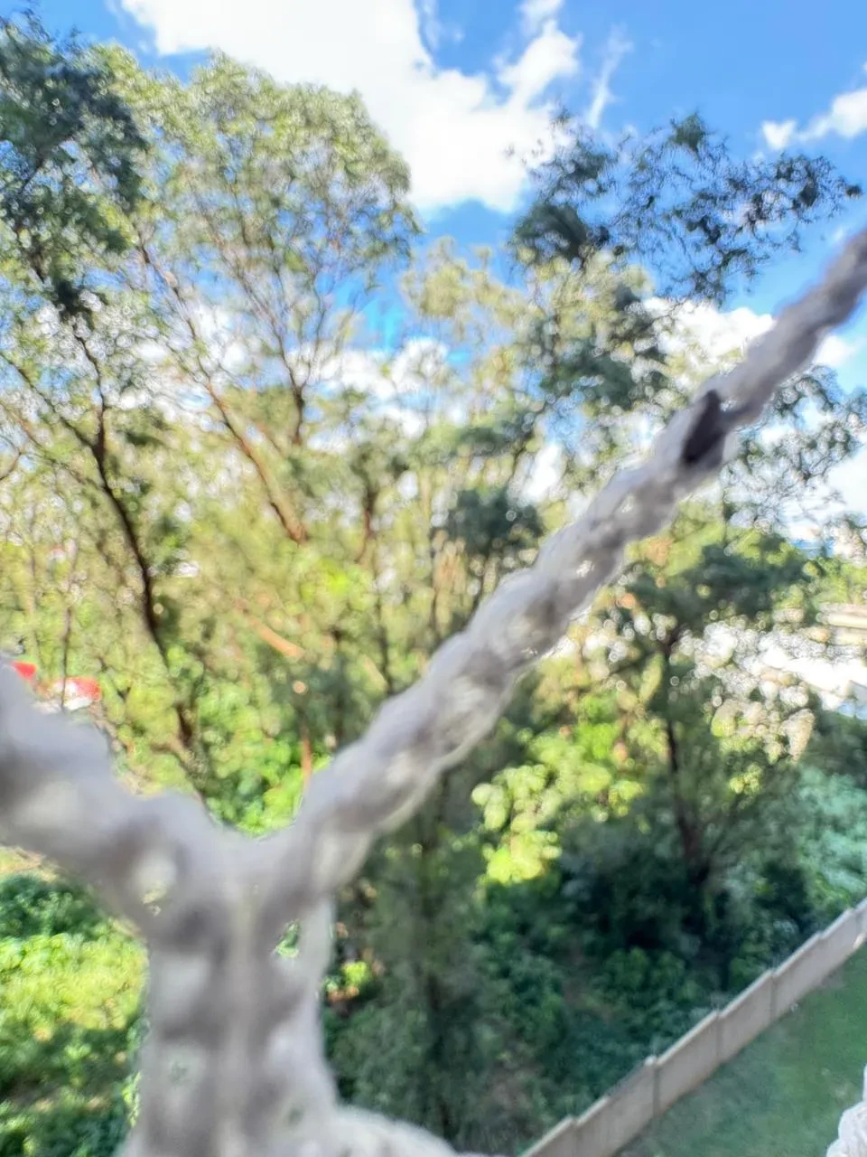 Imagem Apartamento com 2 Quartos à Venda, 45 m² em Piraporinha - Diadema