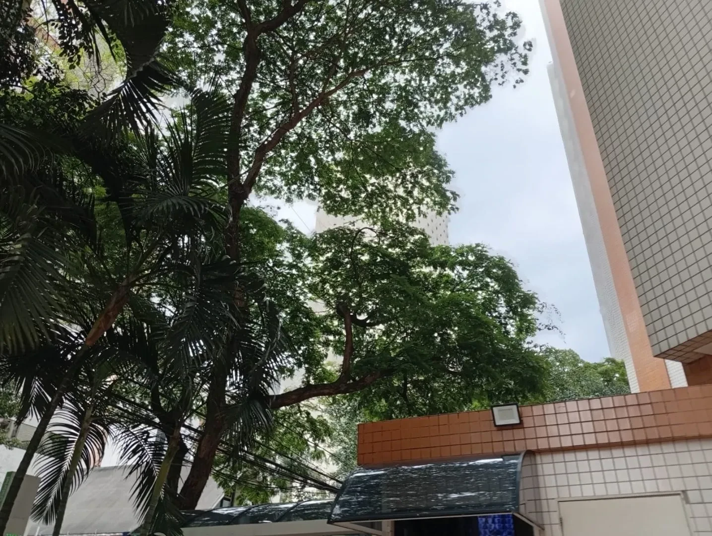 Imagem Apartamento com 3 Quartos à Venda, 76 m² em Vila Olímpia - São Paulo