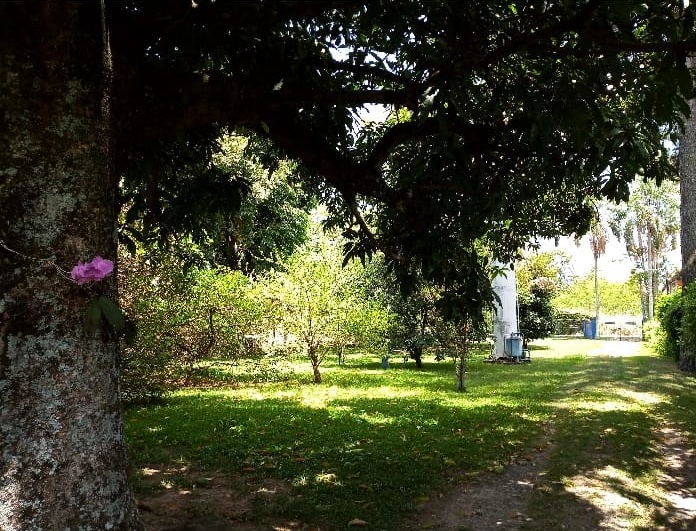 Foto do imóvel: Chácara com 4 Quartos à Venda, 3 m²em Chácara Barreiro - Jaguariúna