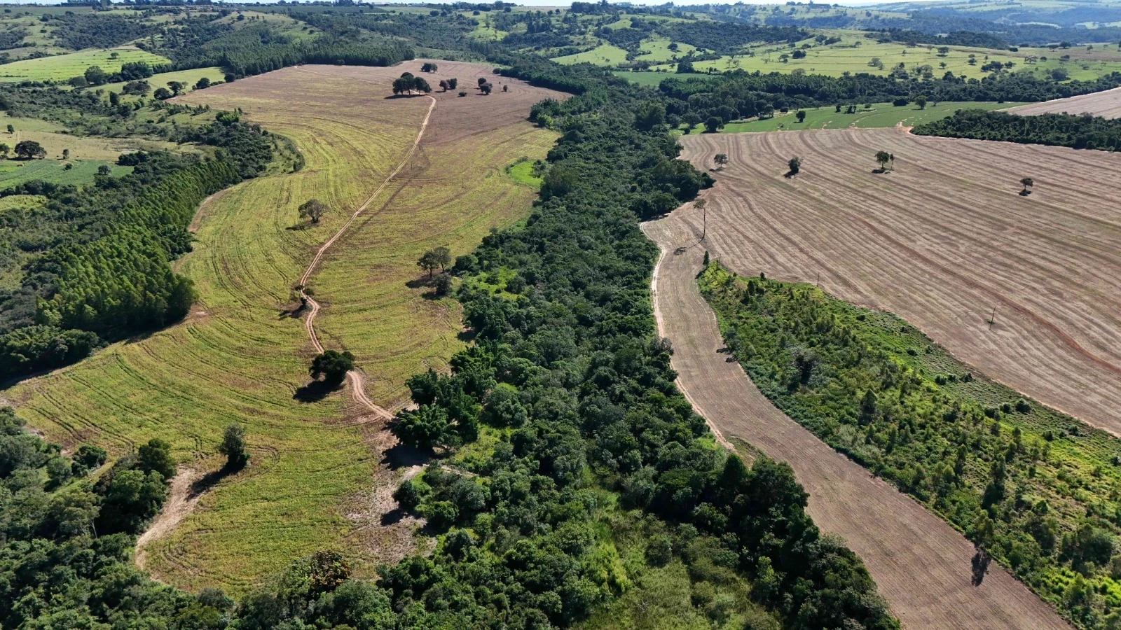 Imagem Fazenda à Venda, 138 HA em Área Rural de Echaporã - Echaporã