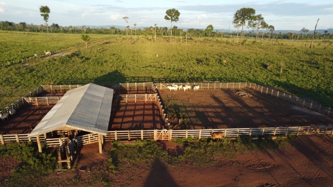 Foto do imóvel: Fazenda à Venda, 430 m² em Centro  - São Félix do Xingu