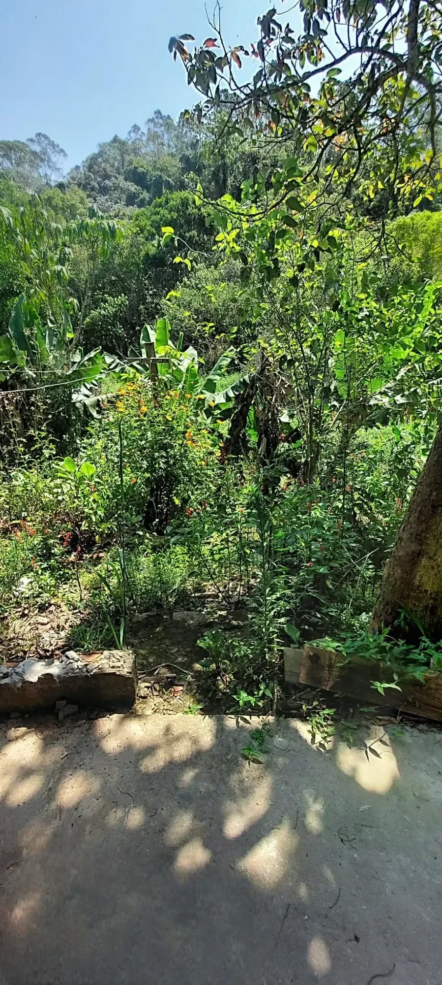 Imagem Chácara com 2 Quartos à Venda, 1500 metros em Vila Moraes - Mogi das Cruzes