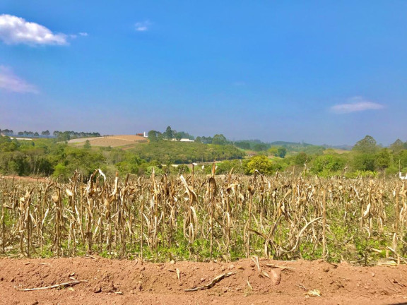 Imagem Terreno em Condomínio à Venda, 1.000 m² em Centro - Alfredo Marcondes