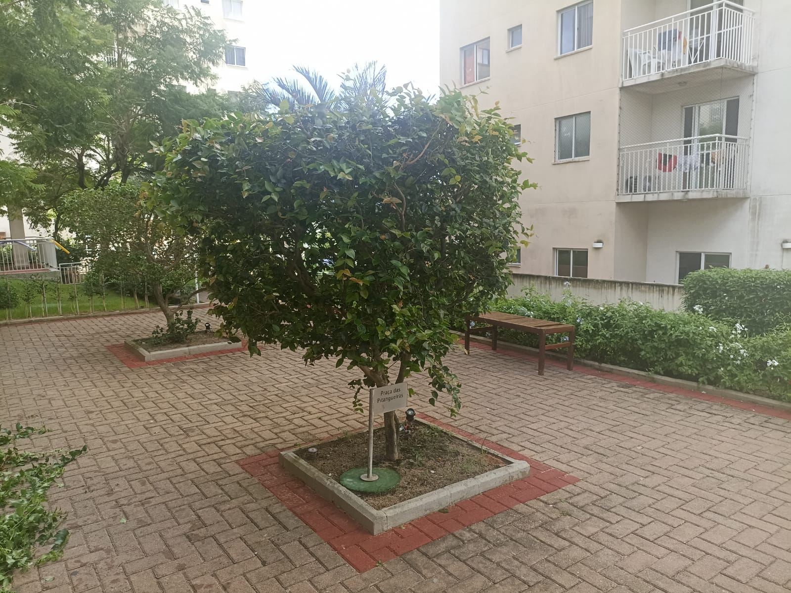 Imagem Apartamento com 3 Quartos para Alugar, 69 m²em Nova Parnamirim - Parnamirim