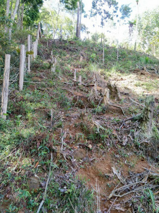 Imagem Terreno à Venda, 1.000 m² em Jardim Zaira - Mauá