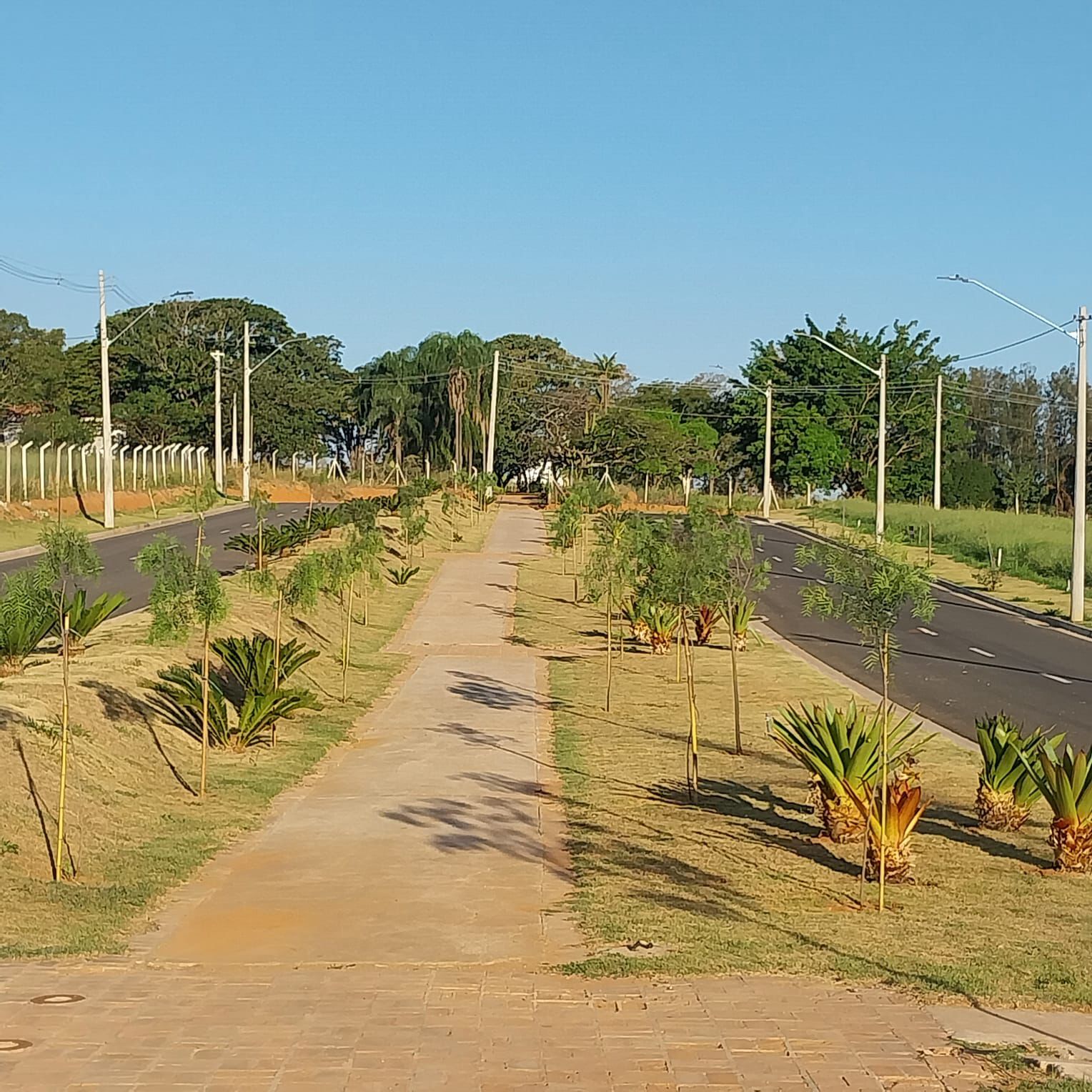 Foto do imóvel: Terreno em Condomínio à Venda, 250 m²em Colinas do Castelo - Jaguariúna