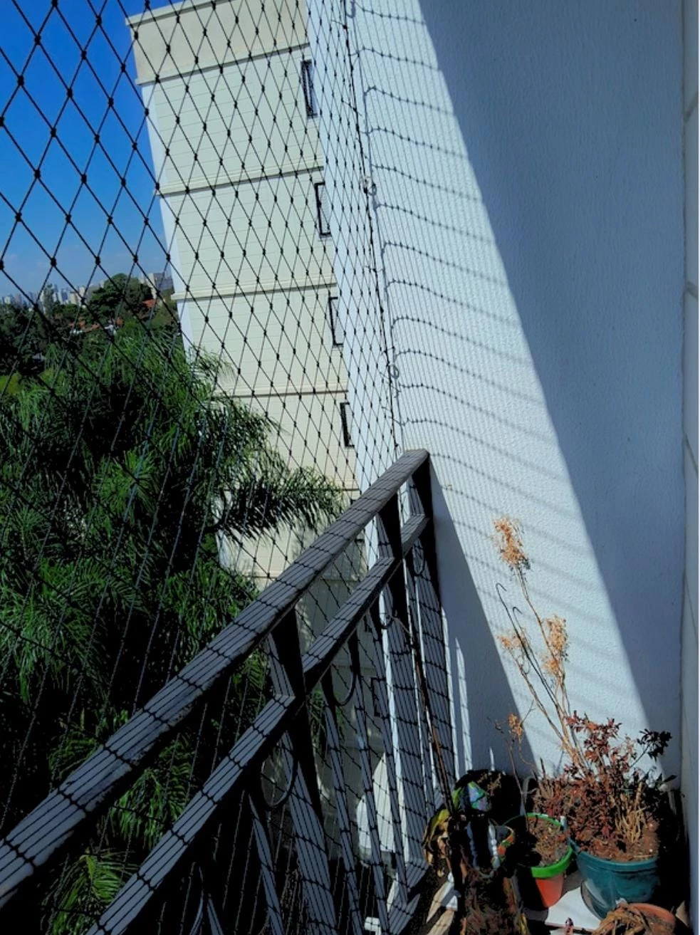 Imagem Apartamento com 3 Quartos à Venda, 64 m² em Jardim Dracena - São Paulo