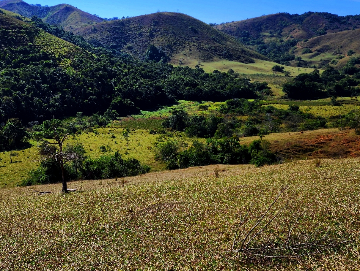 Imagem Fazenda à Venda, 459.000 HA em Área Rural de Valença - Valença