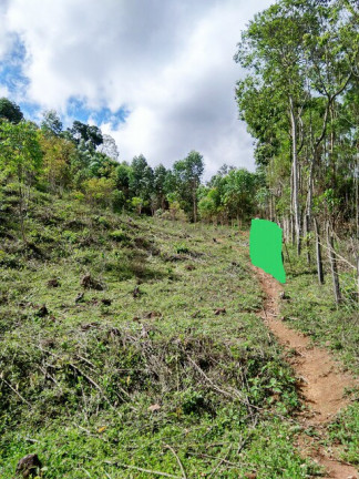 Imagem Terreno à Venda, 1.000 m² em Jardim Zaira - Mauá