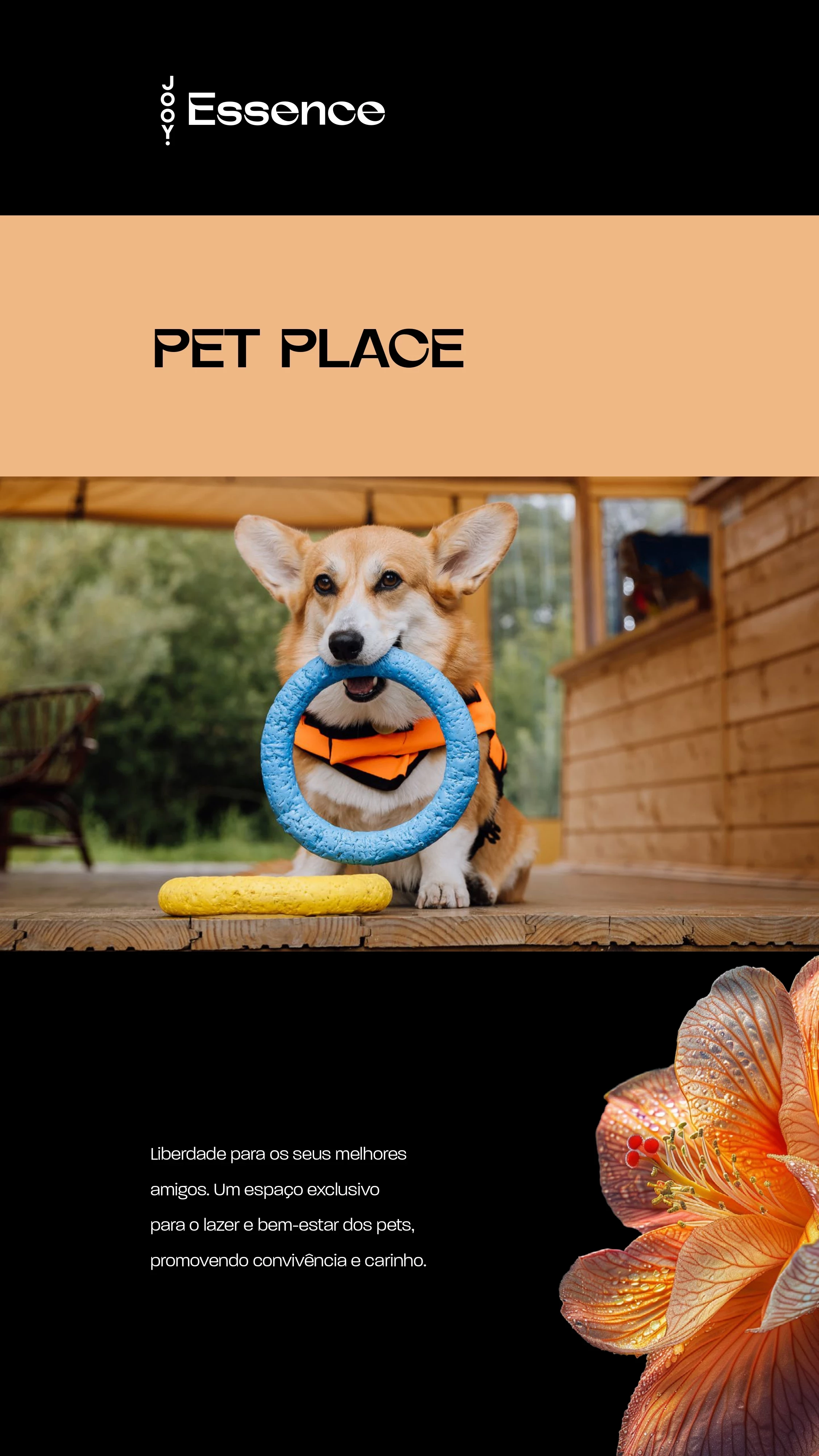 Imagem Apartamento com 2 Quartos à Venda, 77 m² em Jardim Bela Vista - Campo Grande