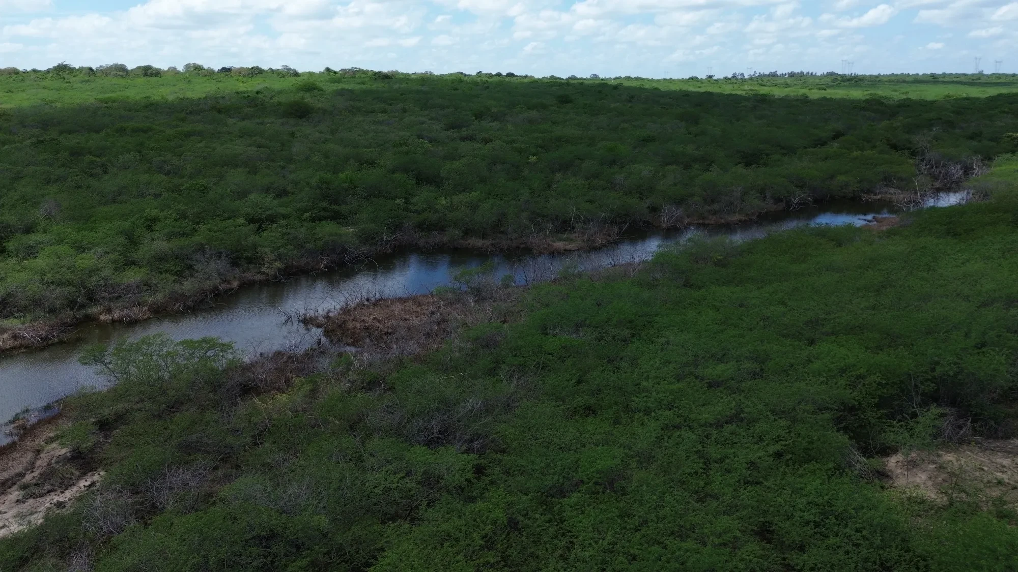 Foto do imóvel: Fazenda à Venda, 100 HA em Fabrício Pedroza - Macaíba