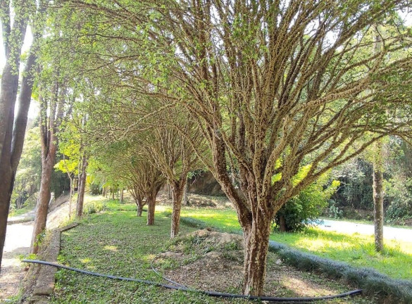 Imagem Chácara com 2 Quartos à Venda, 300 metros em Esplanada Mendes Moraes - São Roque
