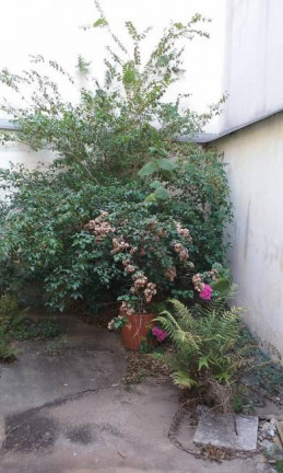 Imagem Casa com 5 Quartos à Venda, 260 m² em Centro - Sorocaba