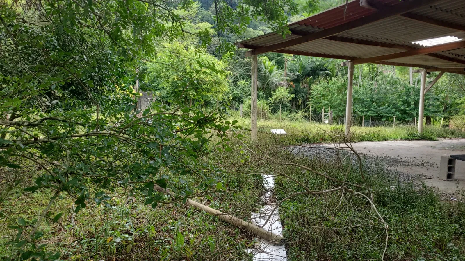 Imagem Chácara com 3 Quartos à Venda, 500 m² em Itariri - Itariri