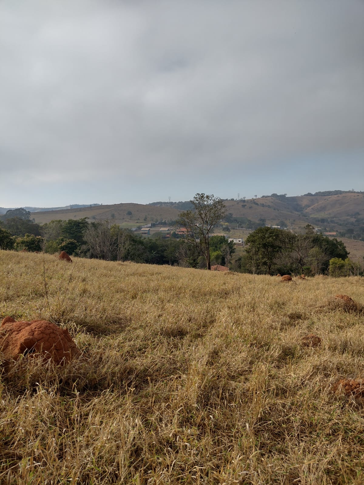 Imagem Terreno à Venda, 21.000 m² em Jardim Continental - Taubaté
