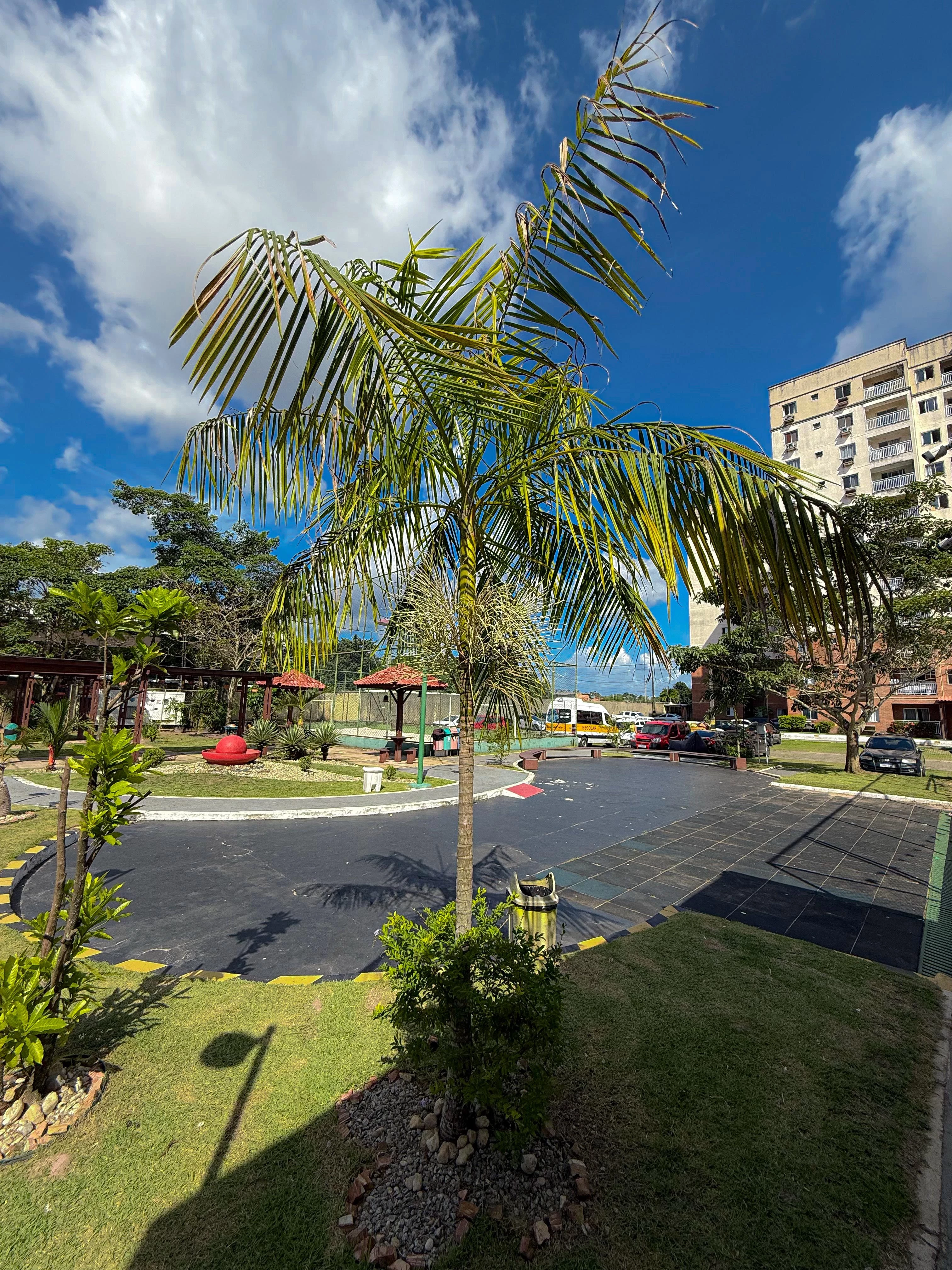 Foto do imóvel: Apartamento com 2 Quartos para Alugar, 60 m² em Centro - Ananindeua
