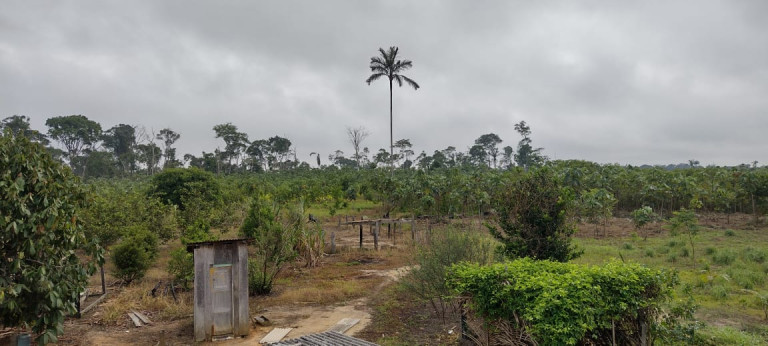 Terreno à Venda, 2.000 m² em Zona Rural - Humaitá