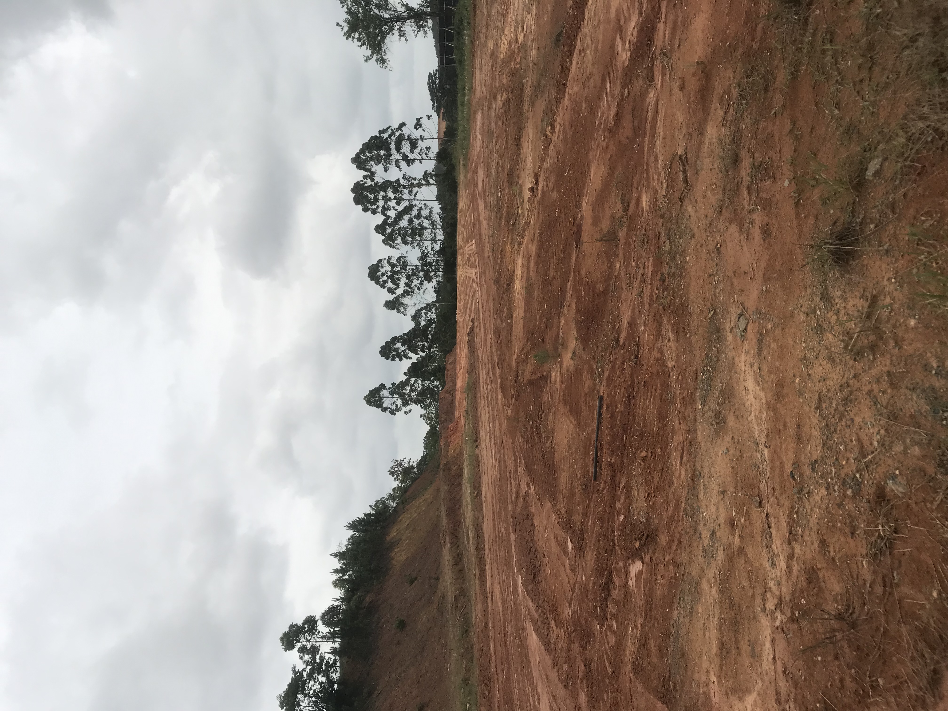 Foto do imóvel: Terreno à Venda, 34.000 m² em Araquari - Araquari