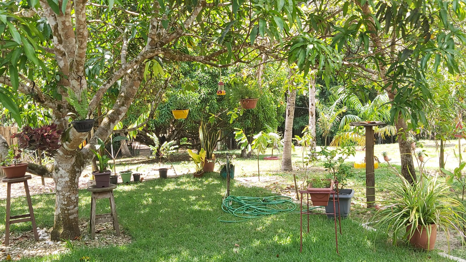 Imagem Chácara com 2 Quartos à Venda, 47 m²em Zona Rural - Santa Maria do Pará