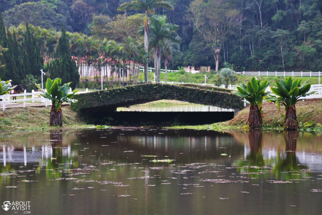 Imagem Fazenda à Venda, 60.000 m² em Ramada - Miguel Pereira