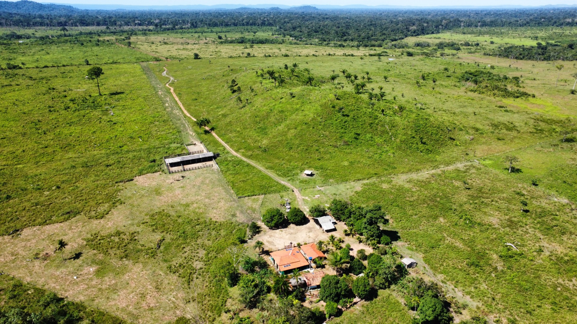Foto do imóvel: Fazenda à Venda, 900 Alq MGem Centro  - São Félix do Xingu