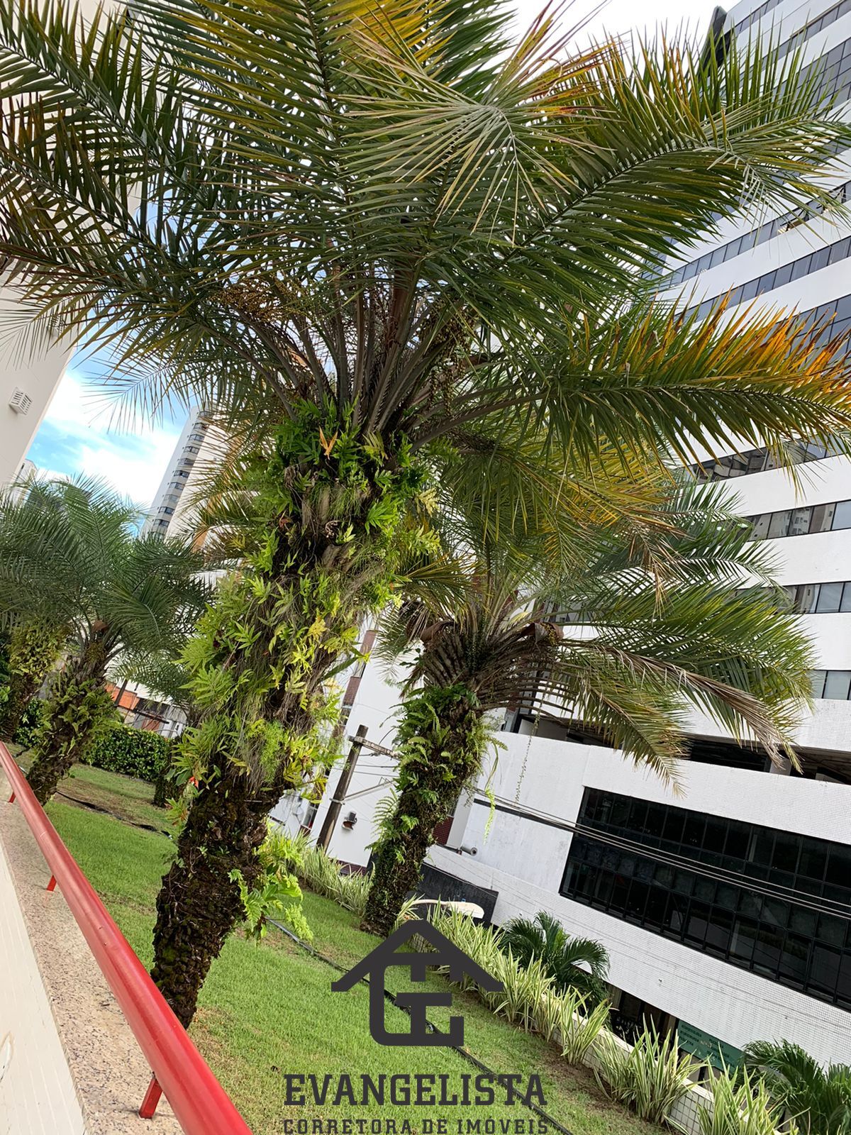 Imagem Cobertura com 4 Quartos à Venda, 260 m²em Chame-Chame - Salvador