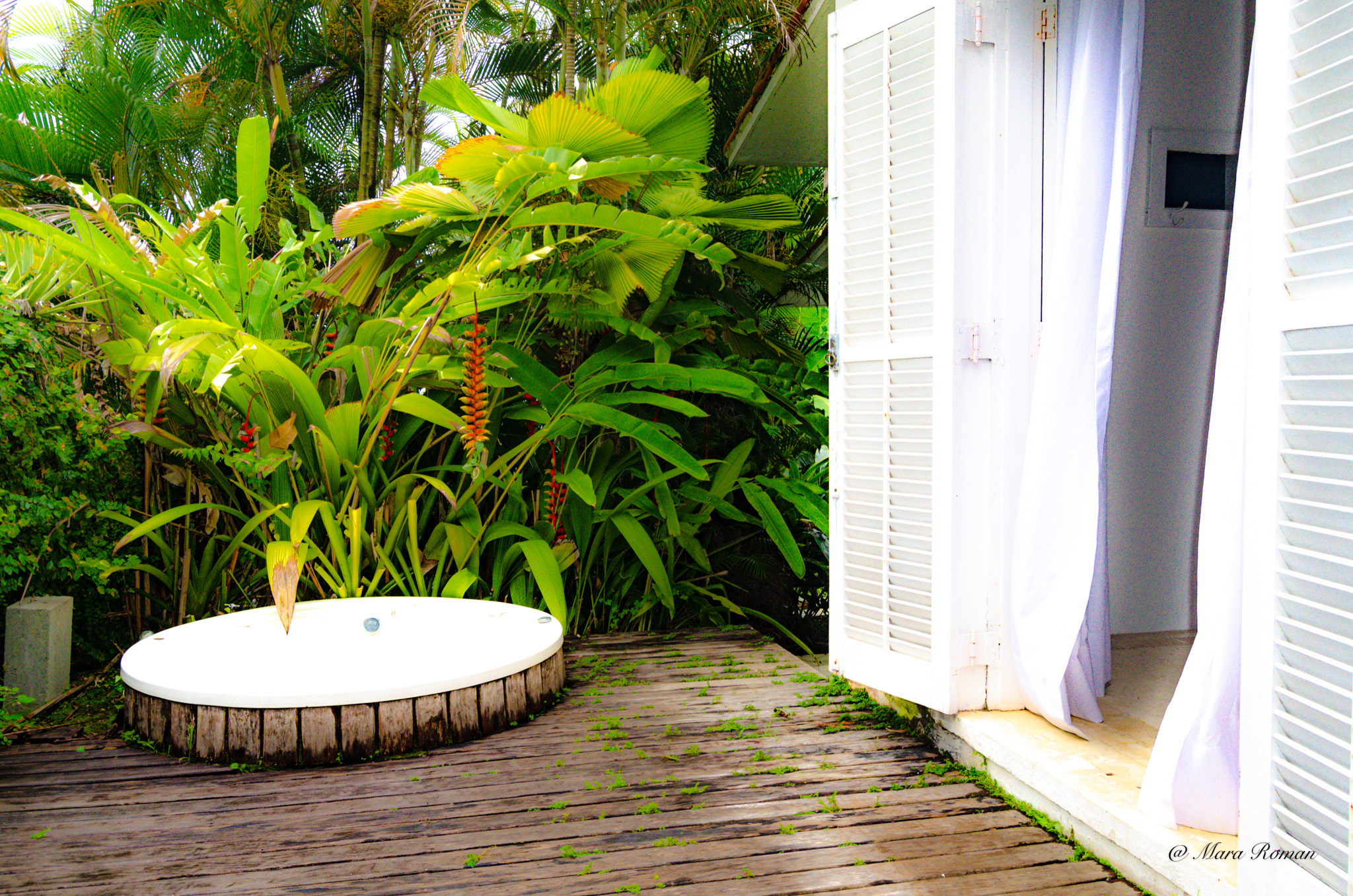Imagem Casa de Condomínio com 3 Quartos à Venda, 156 m²em Praia do Julião - Ilhabela