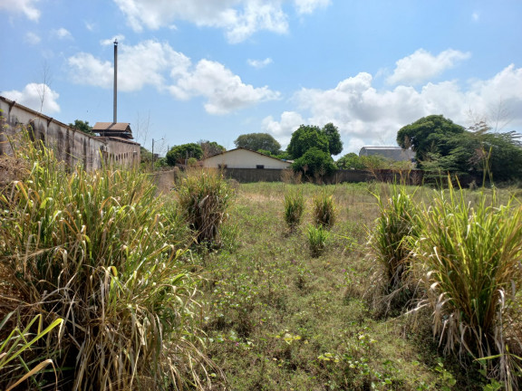 Imagem Terreno para Alugar, 2.700 m² em São José Operário - Santarém