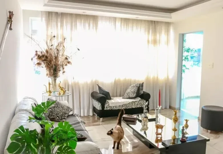 Imagem Cobertura com 4 Quartos à Venda, 332 m² em Grajaú - Belo Horizonte