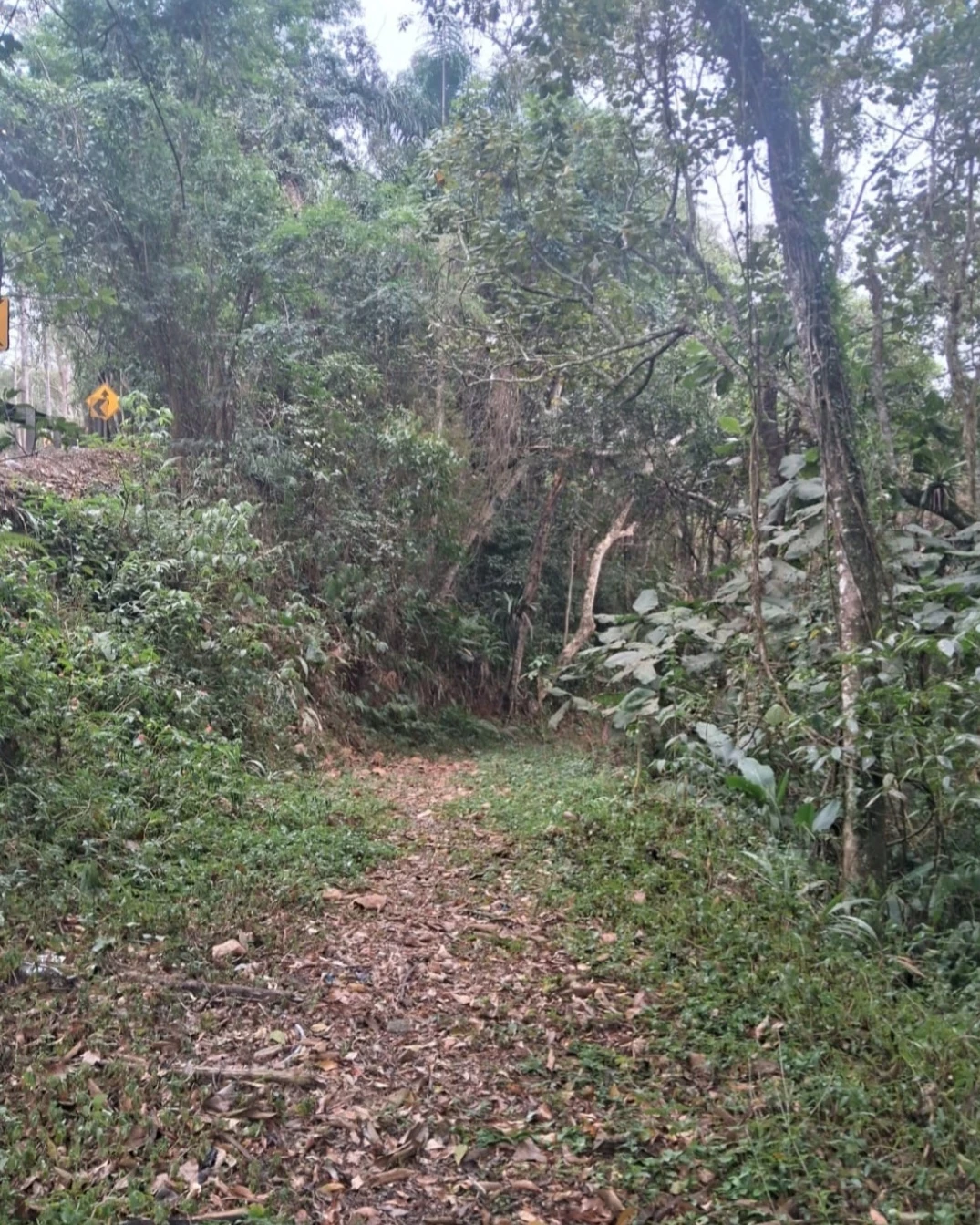 Imagem Imóvel com 1 Quarto à Venda, 29.700 m² em Mombaça - Itapecerica da Serra