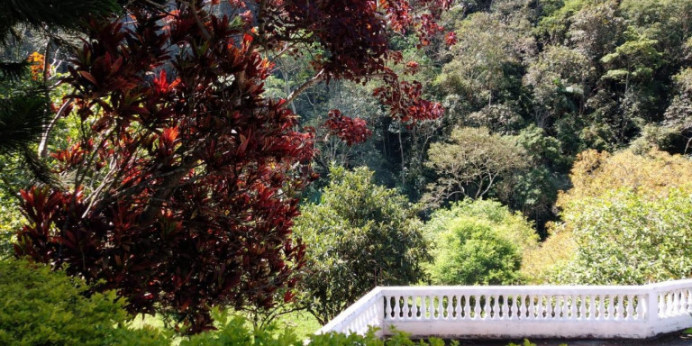 Imagem Chácara com 3 Quartos à Venda, 30.000 m² em Centro - Santa Isabel