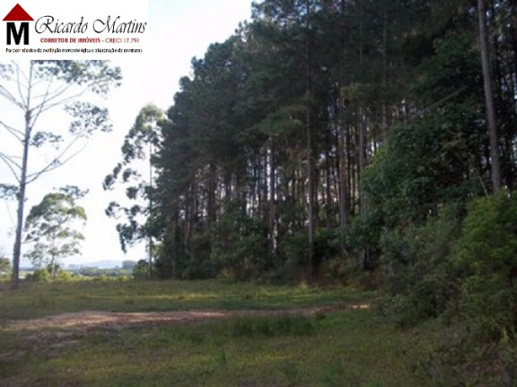 Imagem Terreno à Venda, 70.000 m² em Morro Chato - Turvo