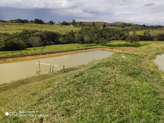 Imagem Fazenda à Venda, 400.000m² em Girassol - Cocalzinho de Goiás