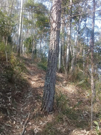 Imagem Terreno à Venda, 123.000 m² em Zona Rural - Santa Bárbara do Tugúrio