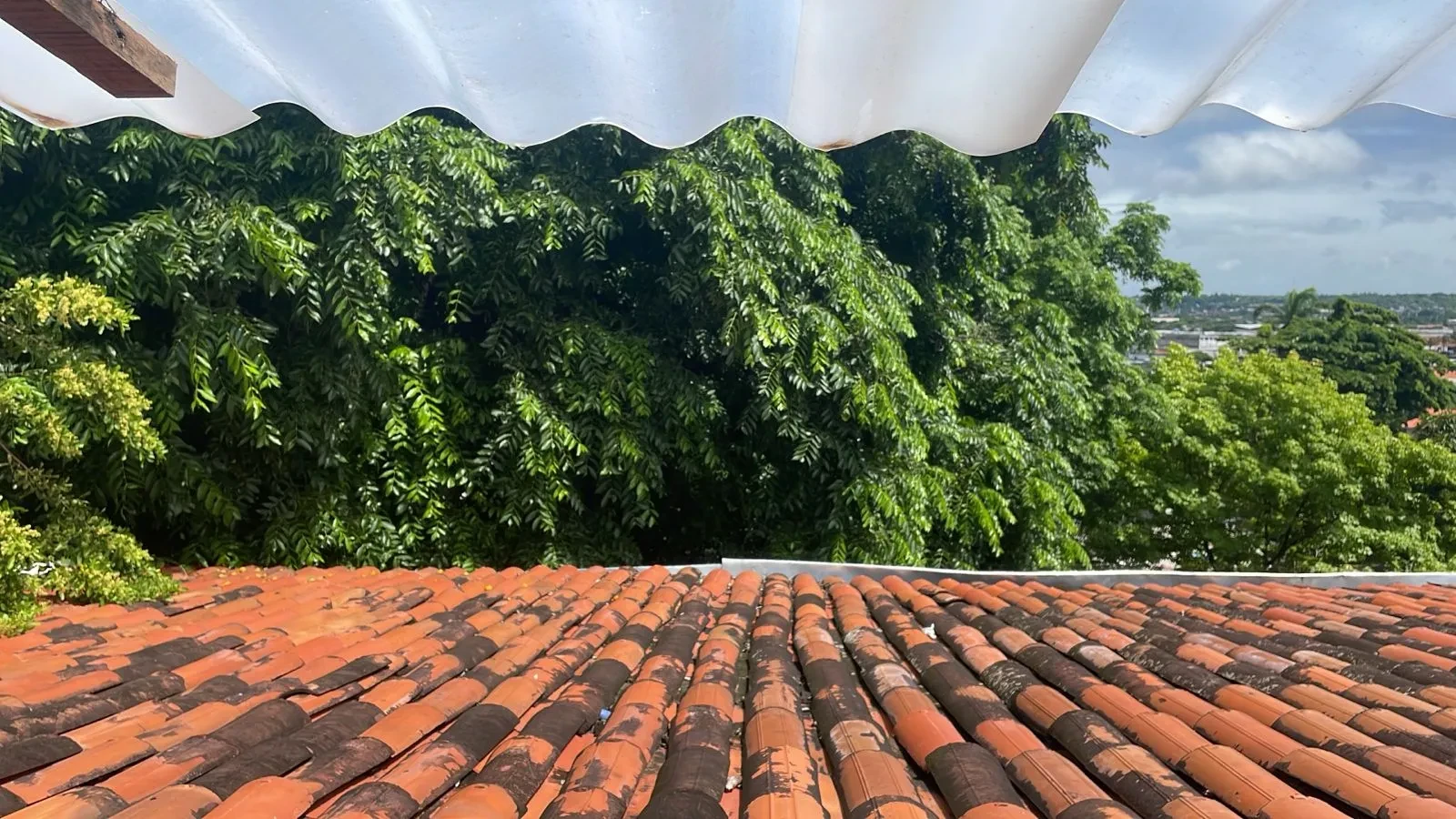 Imagem Casa com 8 Quartos à Venda, Locação ou Temporada, 640 metros em Carmo - Olinda