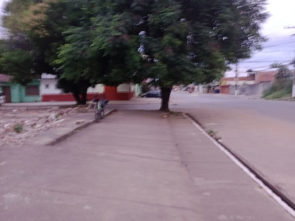 Imagem Terreno para Alugar,  em Caranazal - Santarém