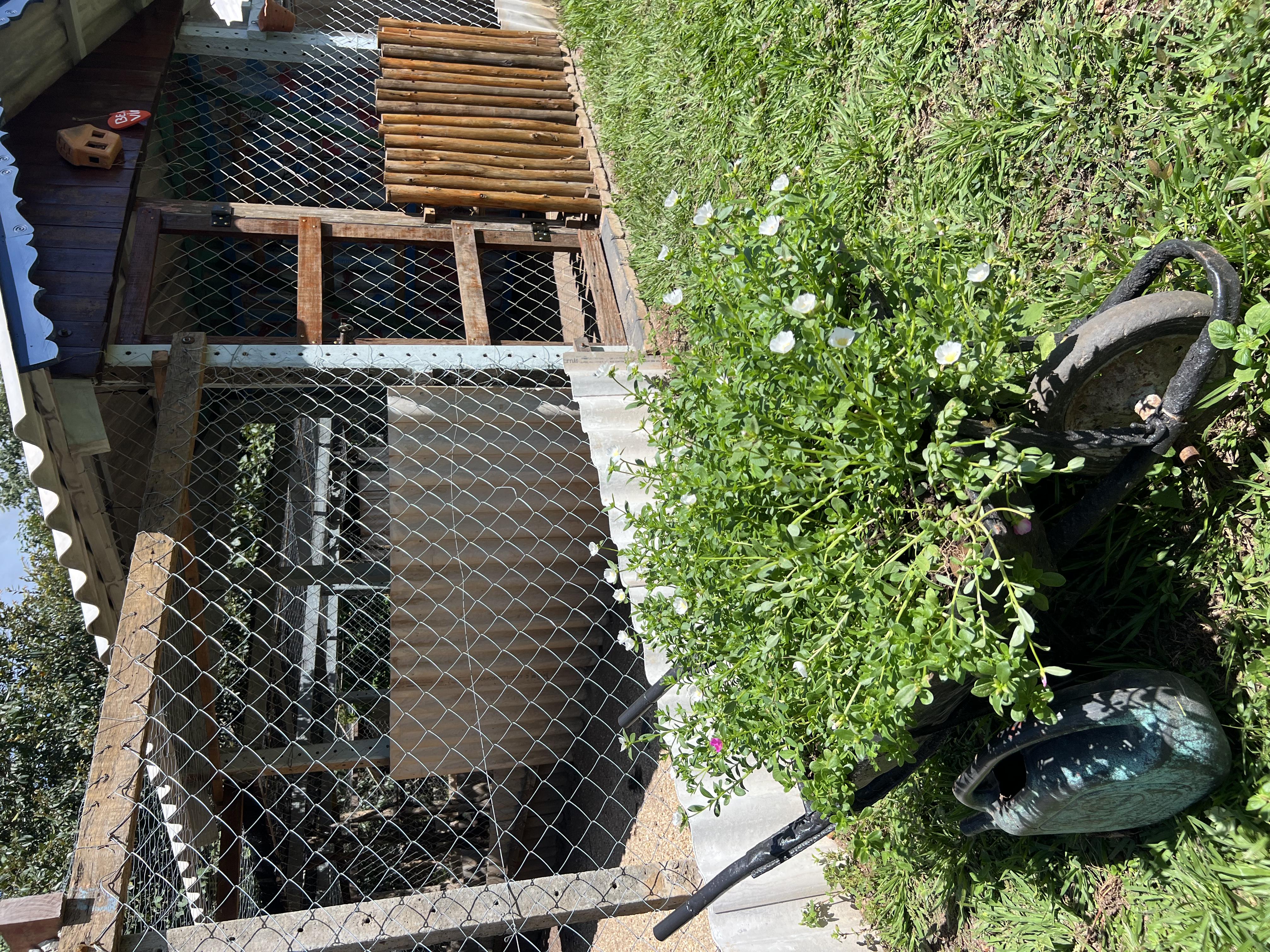 Foto do imóvel: Chácara com 7 Quartos à Venda, 5.000 m² em Setor Central - Mairipotaba