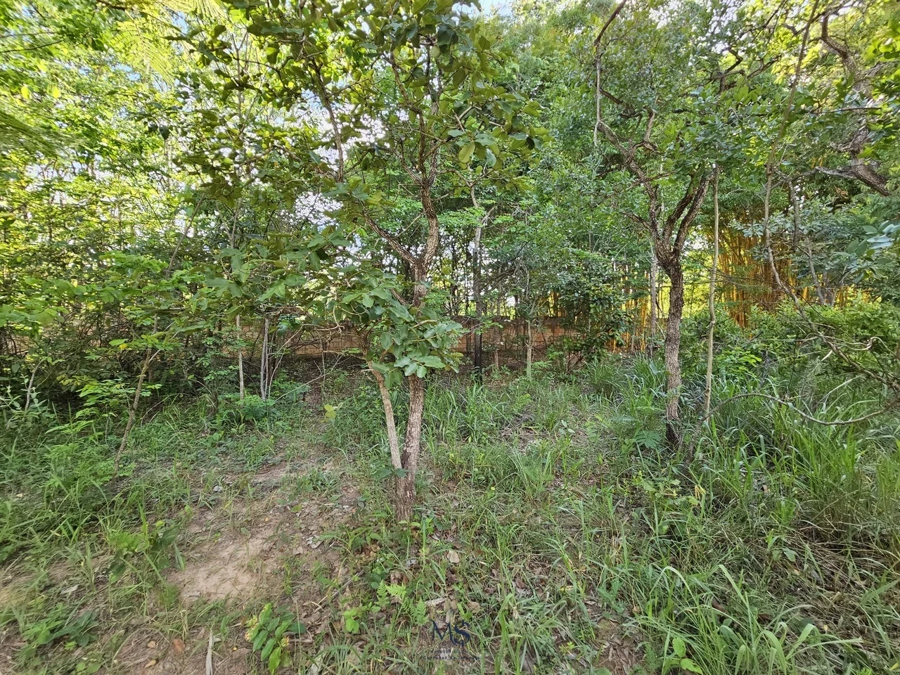 Imagem Fazenda à Venda, 18580 m² em Chácaras Ipanema - Valparaíso de Goiás