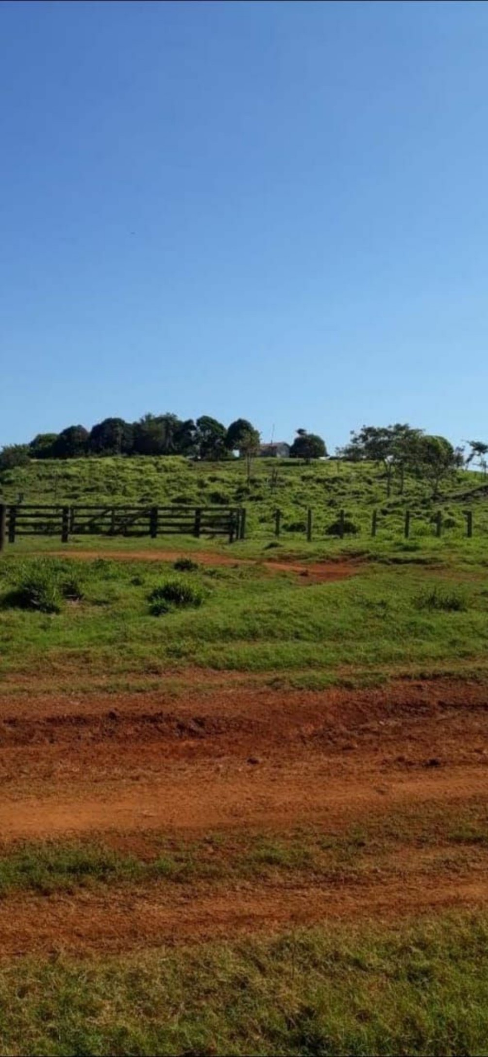 Foto do imóvel: Fazenda à Venda, 9.399 m² em Centro  - São Félix do Xingu