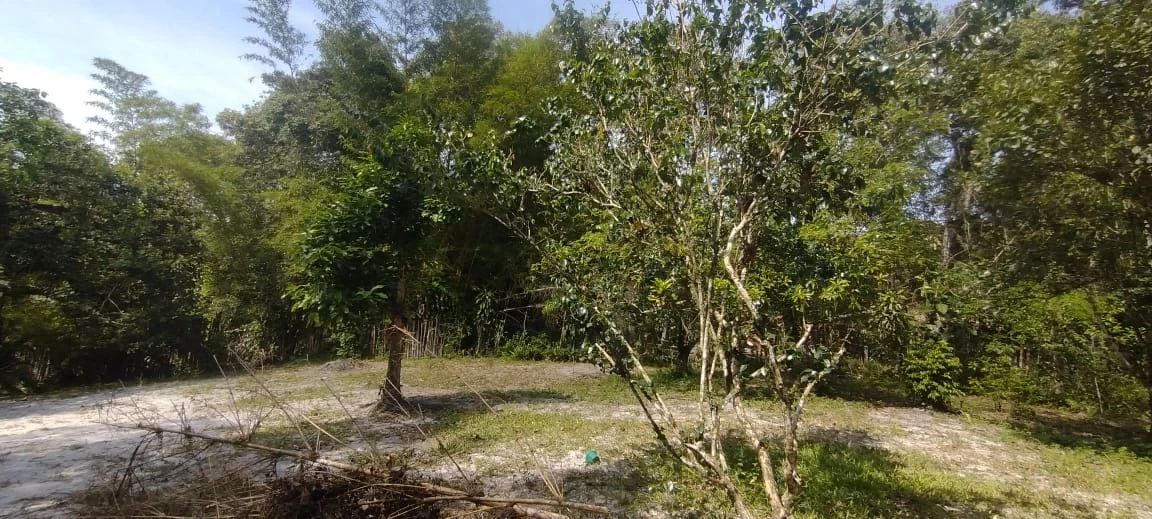 Imagem Chácara com 2 Quartos à Venda, 75 m² em Jardim Coronel - Itanhaém