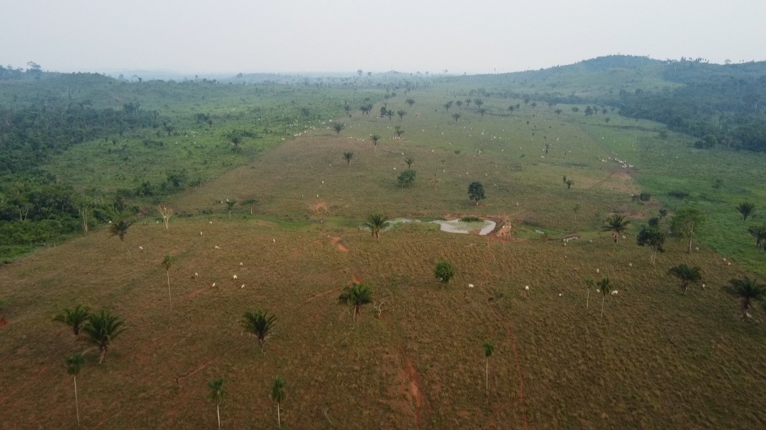 Foto do imóvel: Fazenda à Venda, 1 m²em Centro  - São Félix do Xingu