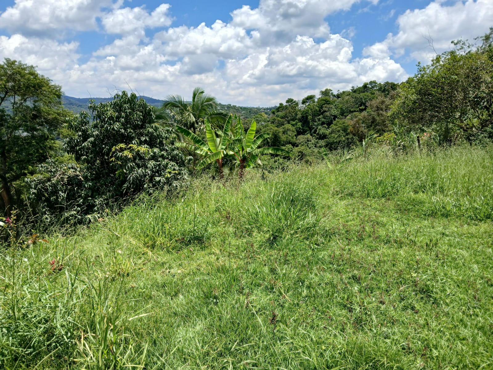 Imagem Chácara à Venda, 50 m²em Ponunduva - Cajamar