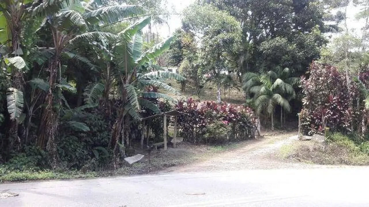 Imagem Terreno à Venda, 302000 m² em Juquiá - Juquiá