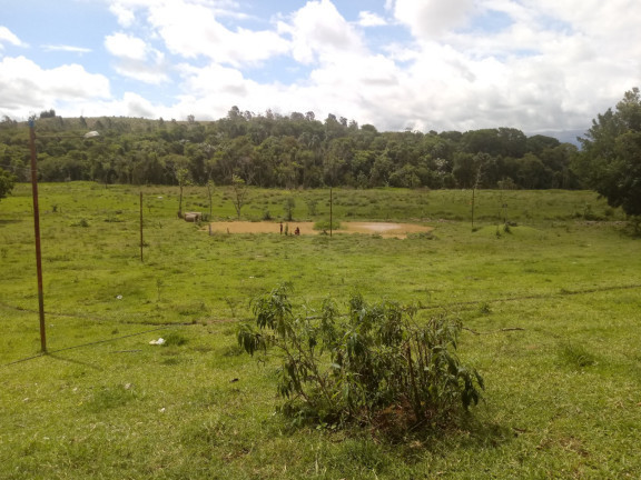 Imagem Chácara com 4 Quartos à Venda, 25.000 m²em Jardim Palmeiras - Caçapava