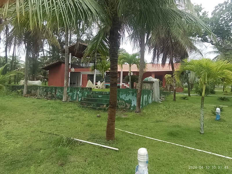 Imagem Imóvel com 5 Quartos à Venda, 736 m²em Dourado - Horizonte