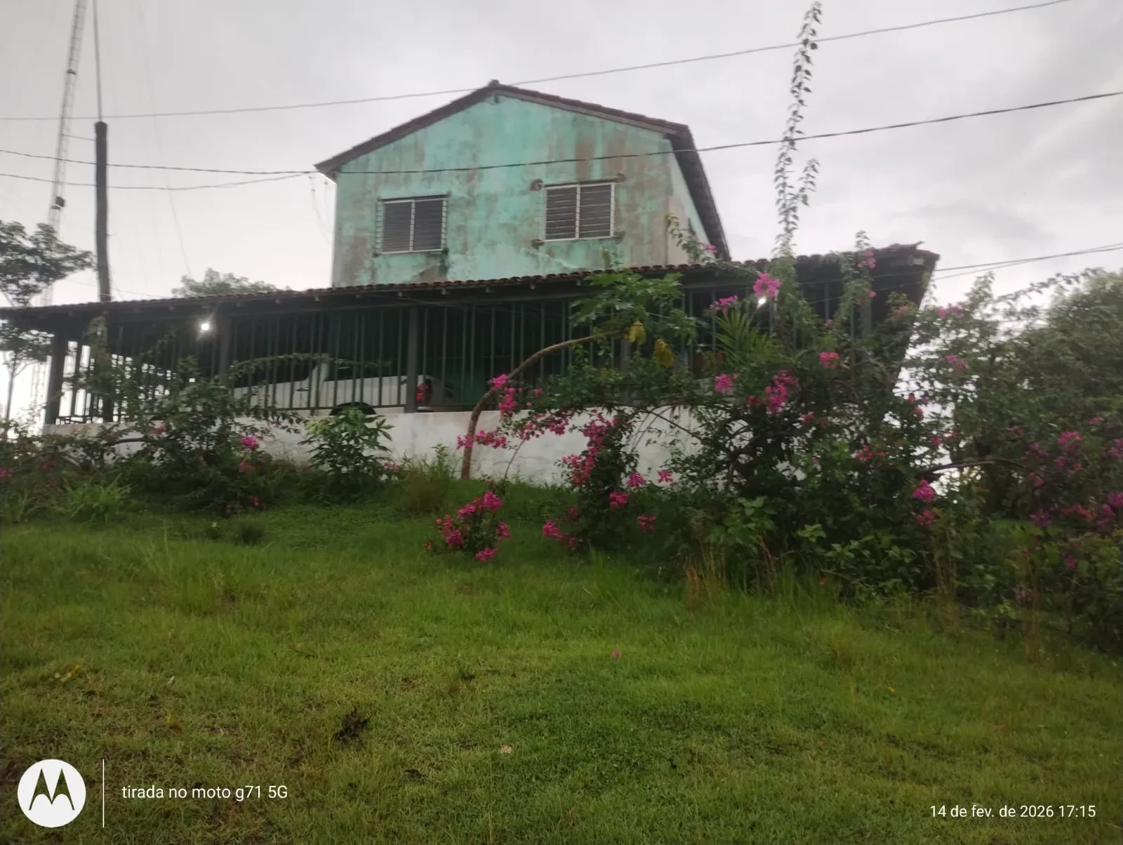 Imagem Fazenda à Venda, 46 HA em Acará - Acará