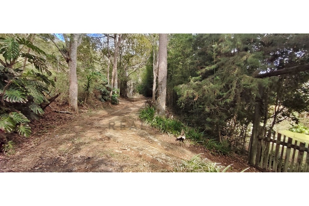 Imagem Terreno à Venda, 3.820 m² em Araras - Petrópolis