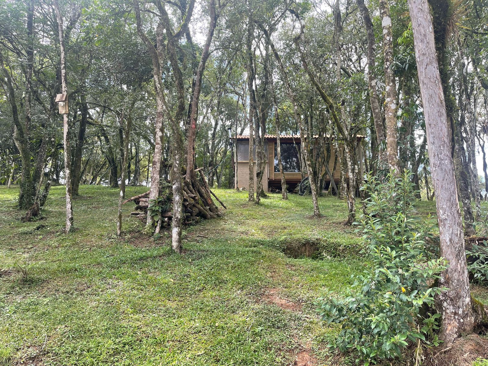 Foto do imóvel: Chácara com 3 Quartos à Venda, 6.800 m² em Salgadinho - Campo Largo