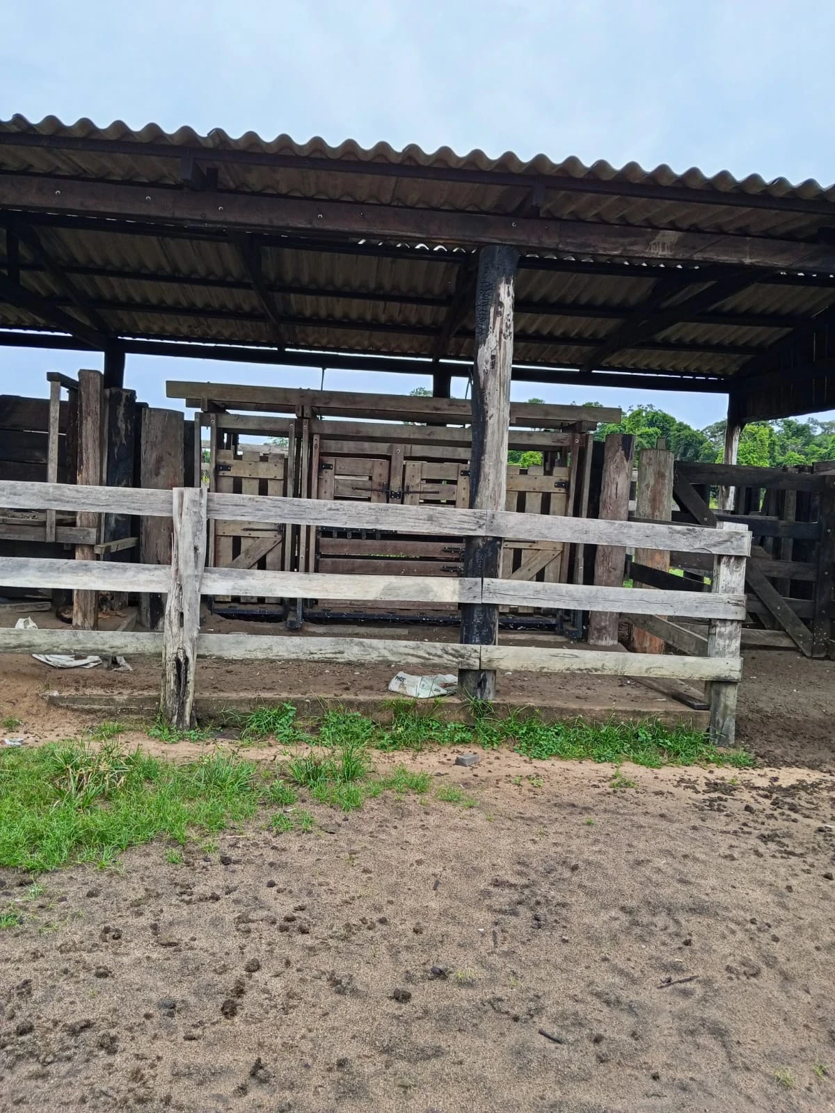 Imagem Fazenda à Venda, 132 m² em Candeias do Jamari - Candeias do Jamari