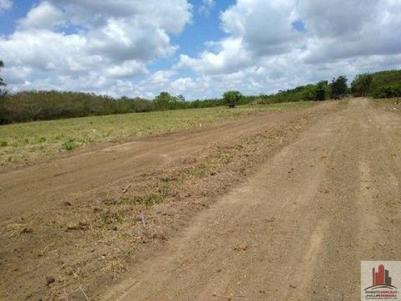 Imagem Terreno à Venda, 50.000 m² em Aldeia dos Camarás - Camaragibe